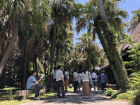 大島紬の見学風景